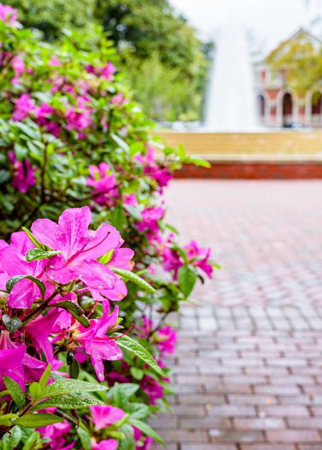ECU Wright Plaza