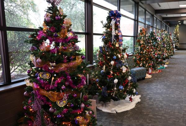 Festival of Trees